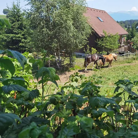Lägenhet Zirbitzblick *